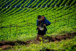 BIB: 940
                            <button type="button" onclick="openModal(19160564)" class="btn btn-primary btn-sm float-right btn-popup" data-toggle="modal" data-target=".modal-high-quality">
                        <i class="fas fa-shopping-cart"></i> Add to Cart
                    </button>
                                            <button type="button" onclick="isThisMe(19160564, true)" class="btn btn-success btn-sm float-right btn-popup btn-isme hidden" data-toggle="tooltip" data-placement="bottom" title="นี่คือรูปของคุณใช่ไหม คลิกที่นี่เพื่อเอาเข้าอัลบั้ม">
                        <i class="fas fa-plus"></i> Add to album
                    </button>
                    <button type="button" onclick="isThisMe(19160564, false)" class="btn btn-warning btn-sm float-right btn-popup btn-isnotme hidden">
                        <i class="fas fa-ban"></i> Remove from album
                    </button>